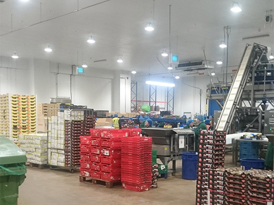 Food Packing Plant LED Lighting Case Study - Zone 3 - After