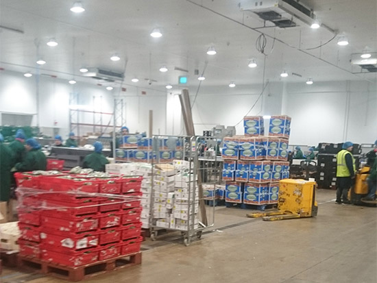 Food Packing Plant LED Lighting Case Study - Zone 4 - After