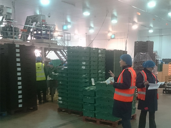 Food Packing Plant LED Lighting Case Study - Zone 4 - Before